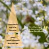 17- Nature luxurieuse – Image 2